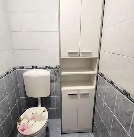 Apartment Pohorje View App *