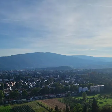 Pohorje View App *